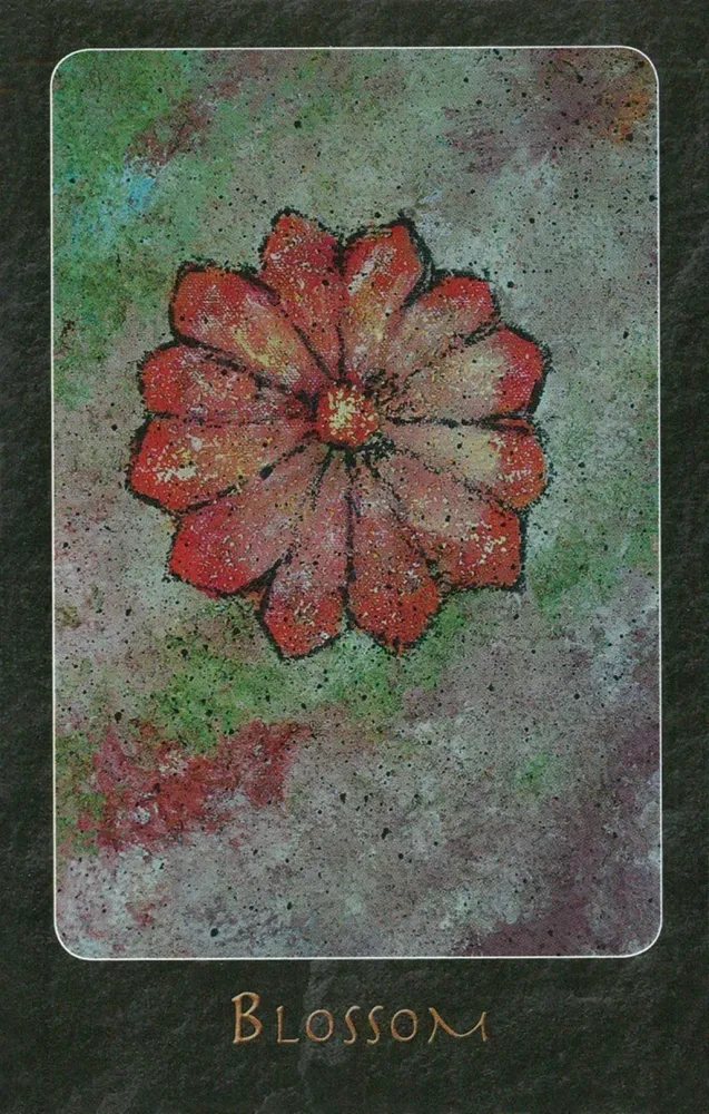 A Shaman Oracle Cards